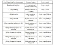 Ball Python Feeding Chart